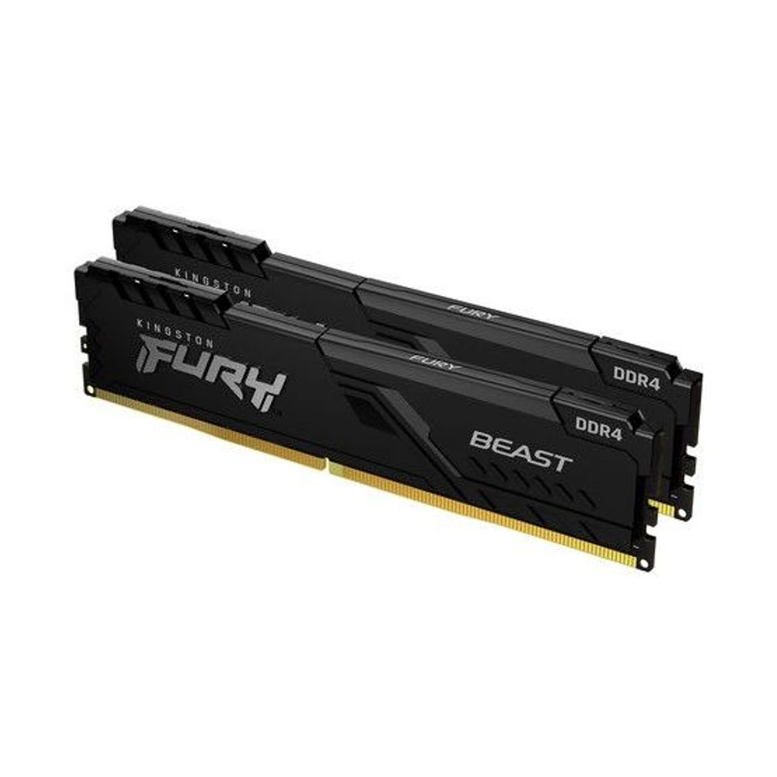FURY Beast